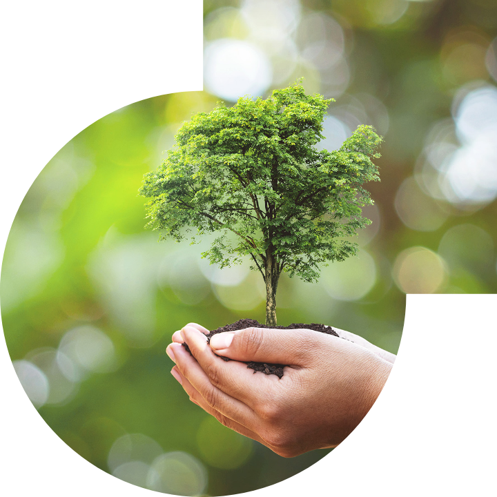 关怀人类、文化、环境与社会